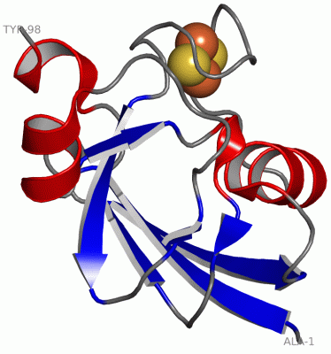 Image Asym./Biol. Unit - manually