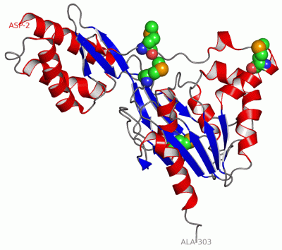 Image Asym./Biol. Unit - manually