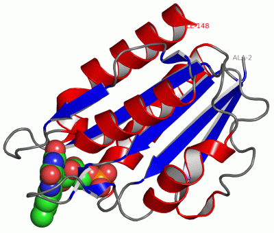 Image Asym./Biol. Unit - manually