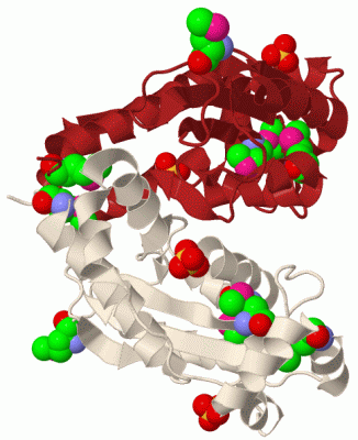 Image Biol.Unit 1 - manually