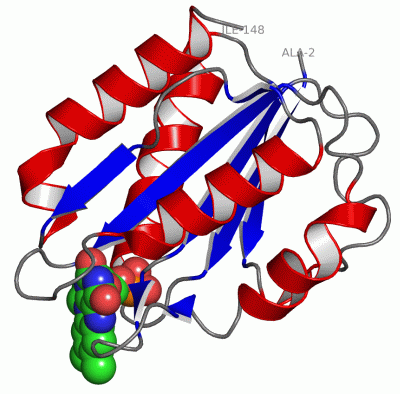 Image Asym./Biol. Unit - manually