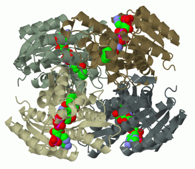 Image Biol.Unit 1 - manually