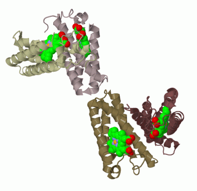 Image Biol.Unit 1 - manually