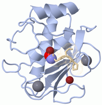 Image Asym./Biol. Unit - manually