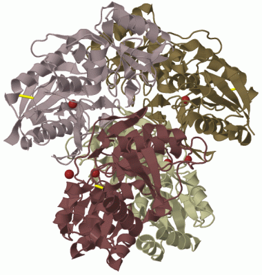 Image Biol.Unit 1 - manually