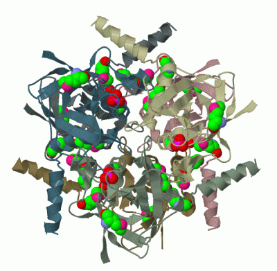 Image Biol.Unit 1 - manually