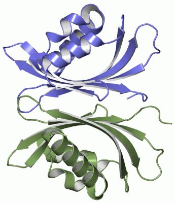 Image Asym./Biol. Unit - manually