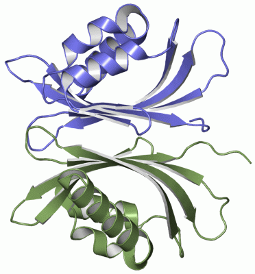 Image Asym./Biol. Unit - manually