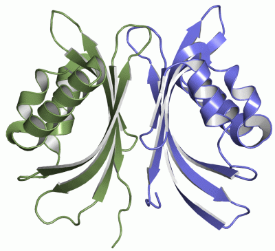 Image Asym./Biol. Unit - manually