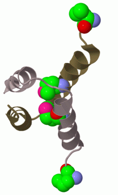 Image Biol.Unit 1 - manually