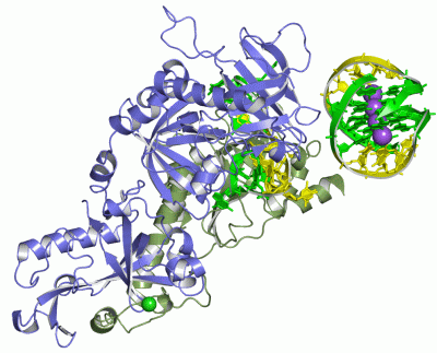 Image Asym./Biol. Unit - manually