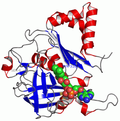 Image Asym./Biol. Unit - manually