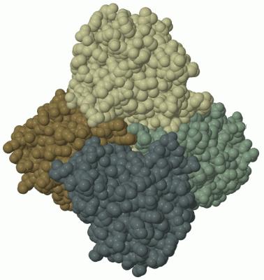 Image Biol.Unit 1 - manually