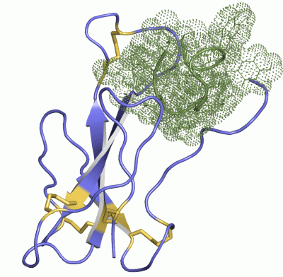 Image NMR Structure - manually