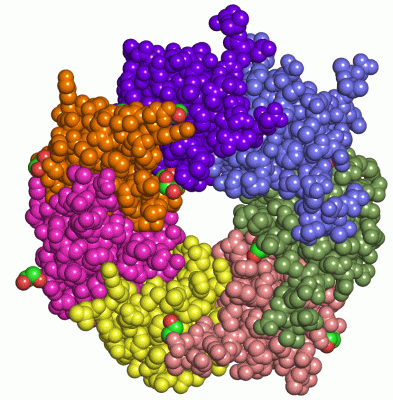 Image Asym./Biol. Unit - manually