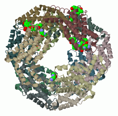 Image Biol.Unit 1 - manually