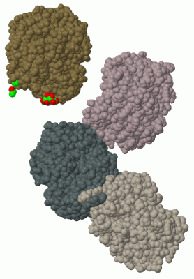 Image Biol.Unit 1 - manually