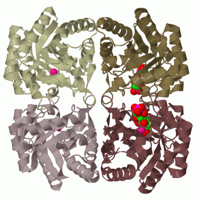 Image Biol.Unit 1 - manually