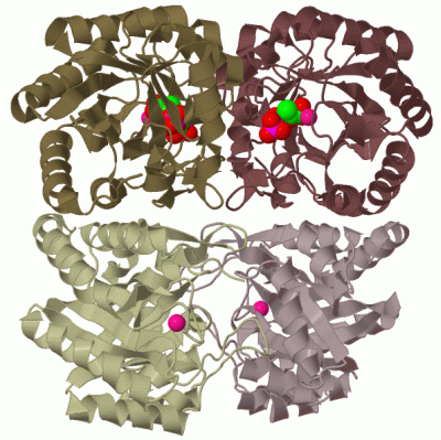 Image Biol.Unit 1 - manually