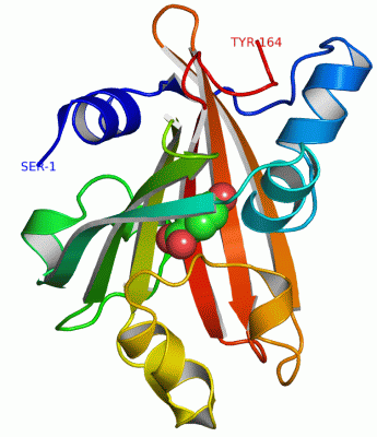 Image Asym./Biol. Unit - manually