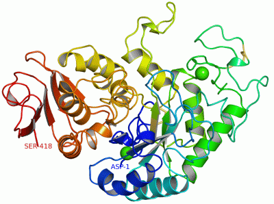 Image Asym./Biol. Unit - manually