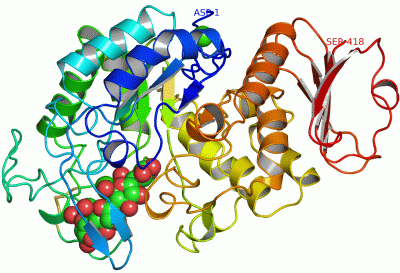 Image Asym./Biol. Unit - manually