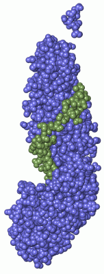 Image Asym./Biol. Unit - manually