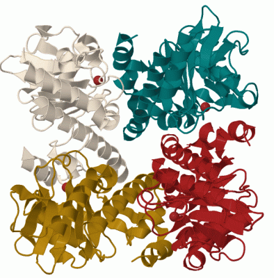 Image Biol.Unit 1 - manually