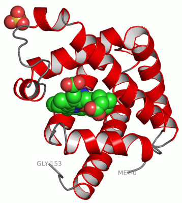 Image Asym./Biol. Unit - manually