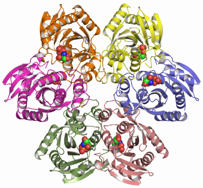 Image Asym./Biol. Unit - manually