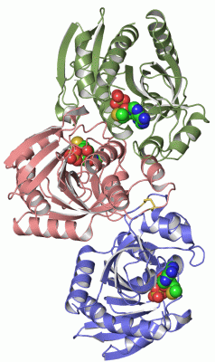 Image Asym.Unit - manually