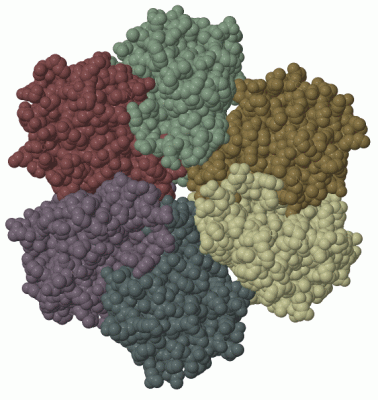 Image Biol.Unit 1 - manually