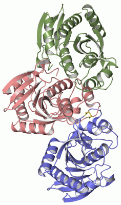 Image Asym.Unit - manually