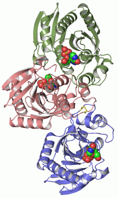 Image Asym.Unit - manually