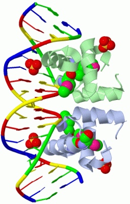 Image Biol.Unit 1 - manually