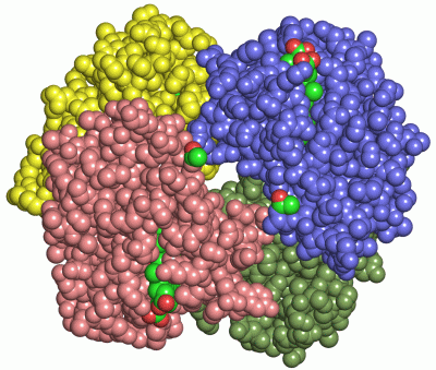 Image Asym./Biol. Unit - manually