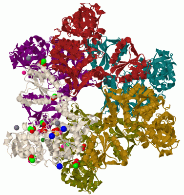Image Biol.Unit 1 - manually