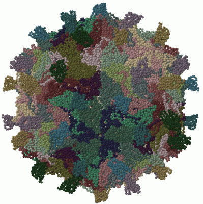 Image Biol.Unit 1 - manually