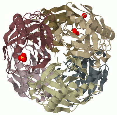 Image Biol.Unit 1 - manually