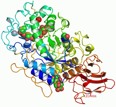 Image Asym./Biol. Unit - manually