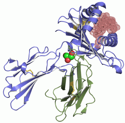 Image Asym./Biol. Unit - manually