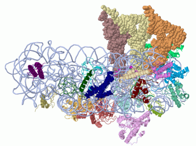 Image Asym./Biol. Unit - manually