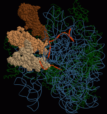 Image Asym./Biol. Unit - manually