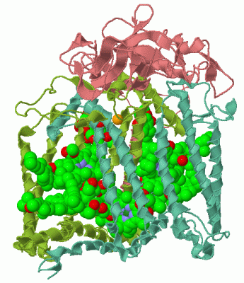 Image Asym./Biol. Unit - manually