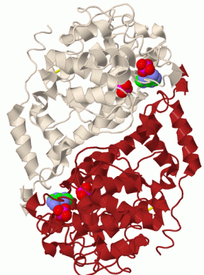 Image Biol.Unit 1 - manually