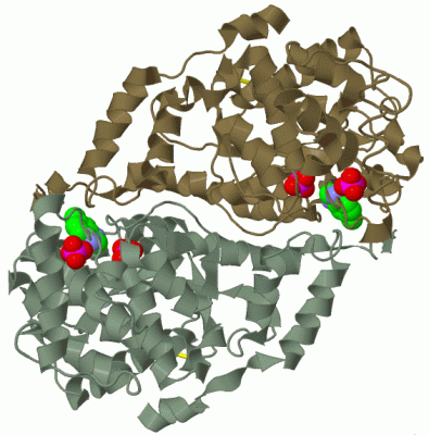 Image Biol.Unit 1 - manually