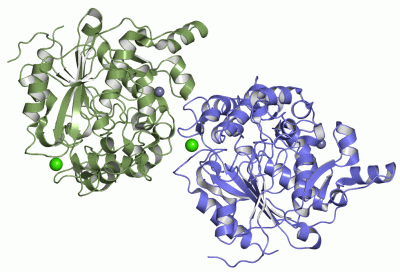 Image Asym./Biol. Unit - manually
