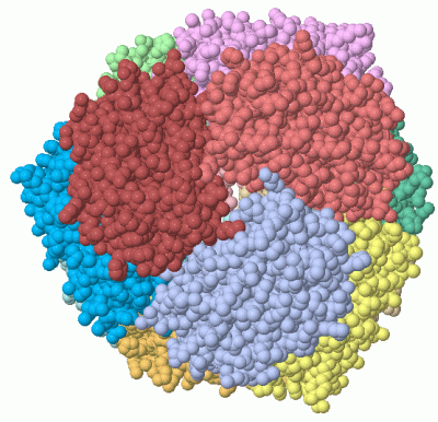 Image Asym./Biol. Unit - manually