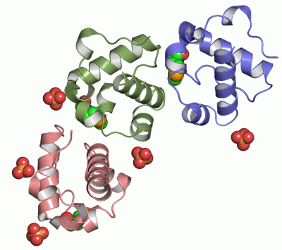 Image Asym./Biol. Unit - manually