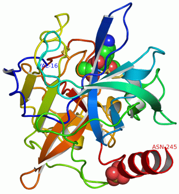 Image Asym./Biol. Unit - manually